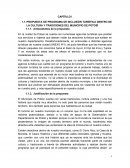 PROPUESTA DE PROGRAMA DE INCLUSIÓN TURÍSTICA DENTRO DE LA CULTURA Y TRADICIONES DEL MUNICIPIO DE POTOSÍ