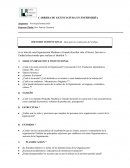 PLANTILLA PARA HACER UN IDENTIKIT ORZANIZACIONAL