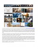 Collage Marca Preferida