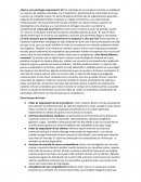 RE: Foro Temas 1 y 2 ¿Qué es una estrategia empresarial?