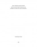 ¿Qué entendemos por memoria colectiva?