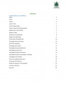 Mercadeo microempresa Vera