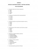 REPASO DE ANATOMÍA HUMANA – MATERIAL ADICIONAL