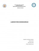 LABORATORIO BIOSEGURIDAD