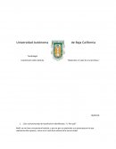 Cuestionario sobre película ¨Hipócrates: el valor de una promesa ¨