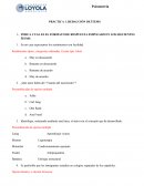 Rendimiento típico, categorías ordenadas. Escala tipo Liker