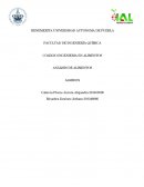 ANÁLISIS DE ALIMENTOS ALMIDON