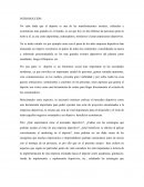 Ensayo marketing, manifestaciones sociales, culturales y económicas