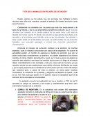 Top de 10 animales en peligro de extinción