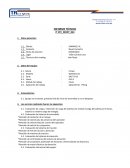 INFORME TECNICO WAVE