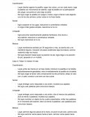 Análisis cualitativo Caso 1: Violeta 8 mese 15 días