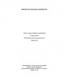 Capacidad contributiva