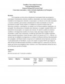 Conexiones neuronales y redes cerebrales implicadas en la Psicopatía