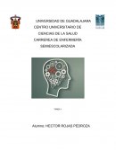 LINEA DEL TIEMPO ETAPA CLASICA (LOS TEMPERAMENTOS DE HIPOCRATES)