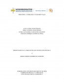 PRINCIPIOS Y DERECHOS FUNDAMENTALES