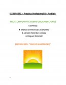 PROYECTO GRUPAL SOBRE ORGANIZACIONES