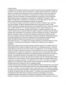 Cinética química