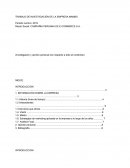 Análisis de la empresa Mambo