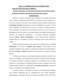 Clase n º 4 . TRABAJO FINAL DE ACREDITACIÓN