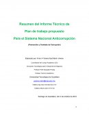 Resumen del Informe Técnico de Plan de trabajo propuesto para el Sistema Nacional Anticorrupción