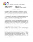 PSICOLOGÍA DE WUNDT