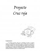 Proyecto de Cruz roja