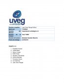 Caso TaMal S.A. DE C.V