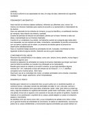 Evaluacion conforme a las capacidades de vida y el rango de edad