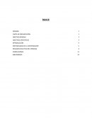 Estadisitica. ELABORACIÓN DEL INFORME
