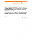 LA SOCIEDAD COLONIAL (1580-1780)