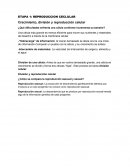 ETAPA 1: REPRODUCCION CELULAR