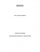 Técnicas IRIAS del material propuesto para consulta