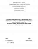 CONFORMACIÓN DE COMITÉS PARA LA PREVENCIÓN DEL DELITO AMBIENTAL