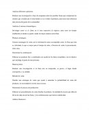 Metodología descripción