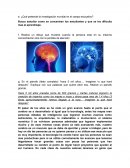 Neurociencia. ¿Qué pretende la investigación mundial en el campo educativo?
