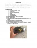 Elaboración de Terrario