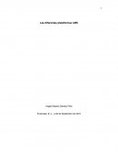 Los diferentes Sistemas de Gestión de Aprendizaje