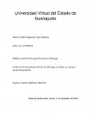 Gestión del capital humano y liderazgo