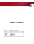 Formato plan de vida y proyección académica