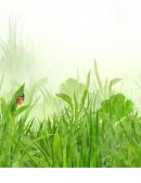 Sustentabilidad energética en el hogar