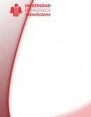 Observación y Práctica Reflexiva IV