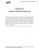 COMPORTAMIENTO - NEGOCIO EN CHICLAYO