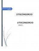 Litisconsorcio