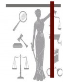 Acción de Cumplimiento