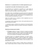 La organización como objeto: siete dimensiones para su análisis