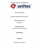 TUTORIAL No. 2 DE TEORÍA ECONÓMICA