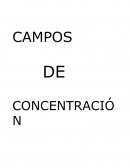 Campos de concentración, Alemania Nazi