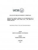 CONTROL INTERNO PLACA MASS E.I.R.L.