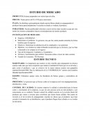 ESTUDIO DE MERCADO. PRODUCTO: Frituras preparadas con varios tipos de salsa