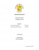 La tipologia del texto